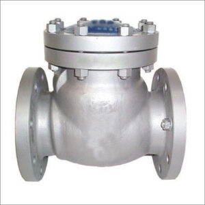 Audco Angle Check Valve