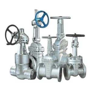 Audco Globe Valve